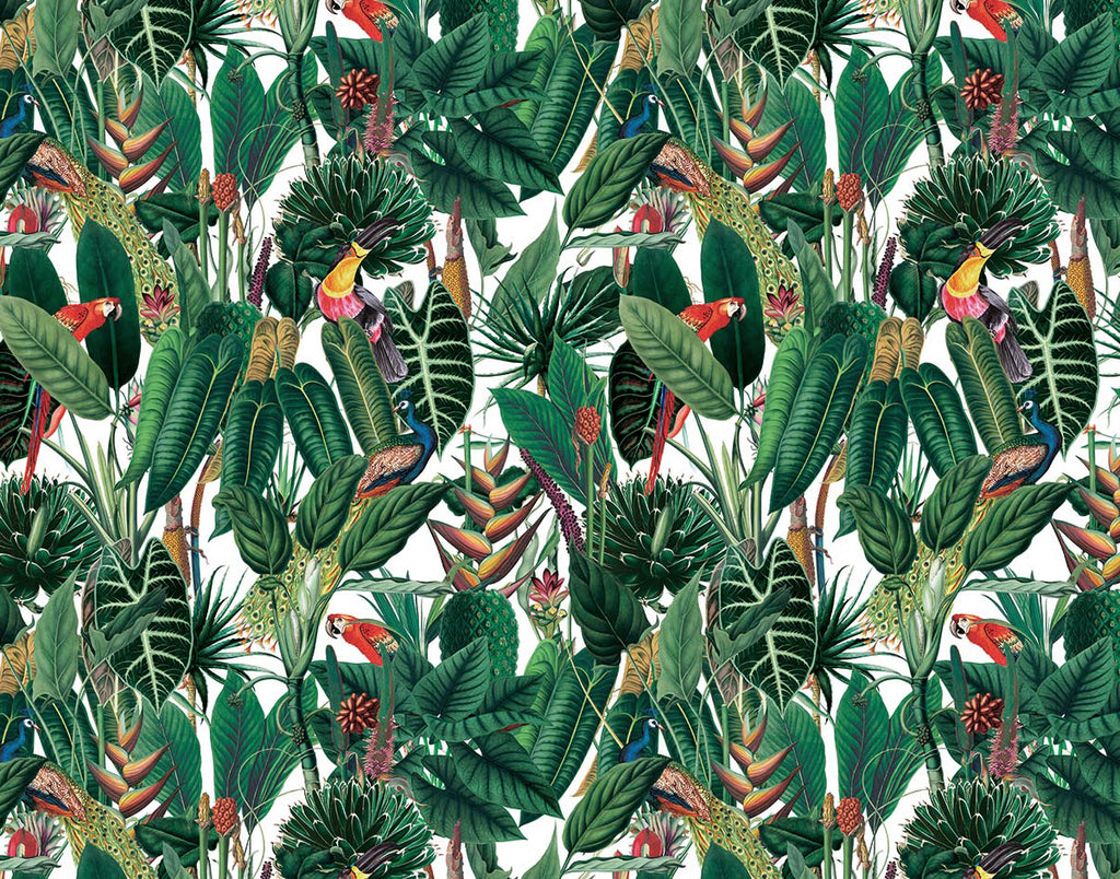 Crafty Cotton "Peeking Parrots" 100% Cotton Print 110cm Wide Craft Dress Fabric